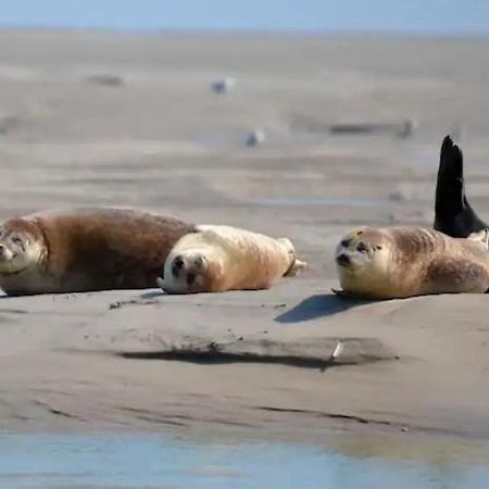 Gite Escale Oceania En Baie De Somme A Ault, 50M De La Mer المظهر الخارجي الصورة